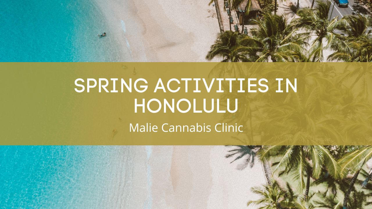 Spring Activities in Honolulu